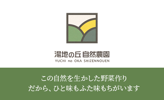 この自然を生かした野菜作り だから、ひと味もふた味もちがいます 